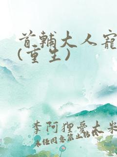 首辅大人宠妻录(重生)