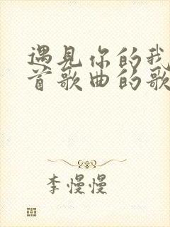 遇见你的我是哪首歌曲的歌词