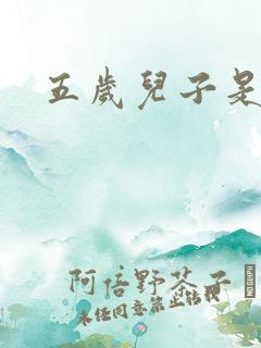 五岁儿子是相公