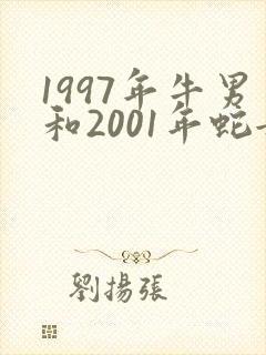 1997年牛男和2001年蛇女婚配