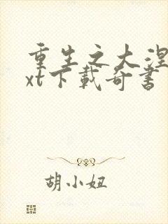重生之大涅磐txt下载奇书网