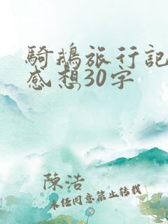 骑鹅旅行记读后感想30字