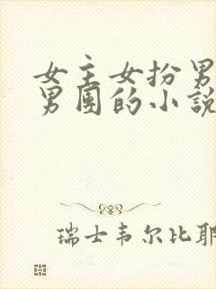 女主女扮男装进男团的小说