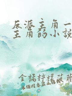 反派主角一直绿主角的小说