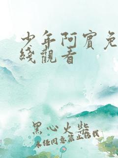 少年阿宾免费在线观看