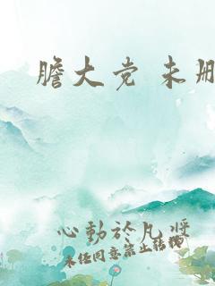 胆大党 未删减 胆大党 未删减