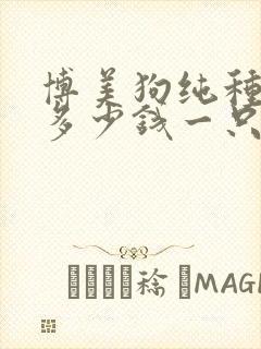博美狗纯种一般多少钱一只