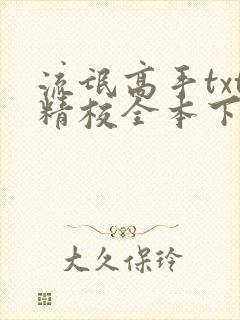 流氓高手txt精校全本下载