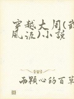 穿越大周(武唐风流)小说
