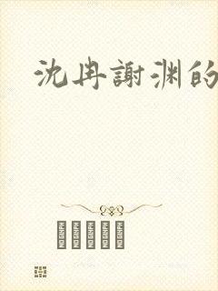 沈冉谢渊的小说