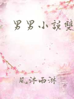 男男小说双性h
