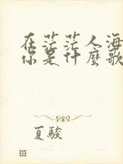 在茫茫人海遇见你是什么歌
