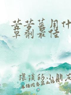 苦苦菜用什么除草剂最佳 苦苦菜用什么除草剂最佳