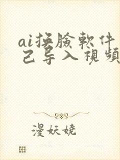 ai换脸软件自己导入视频吗