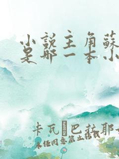小说主角苏洛的是哪一本小说