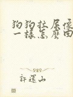 狗狗拉屎像羊屎一样怎么回事