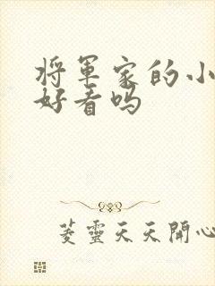将军家的小娘子好看吗