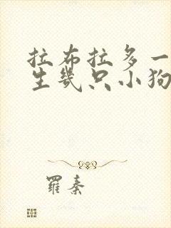 拉布拉多一窝能生几只小狗