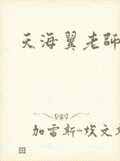 天海翼老师