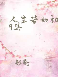人生若如初见19集