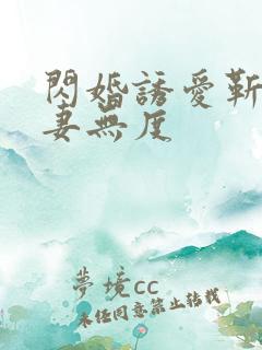 闪婚诱爱靳少宠妻无度