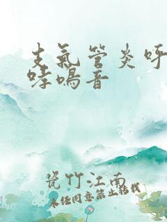 支气管炎呼气有哮鸣音