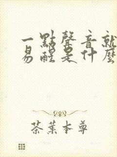 一点声音就很容易醒是什么原因