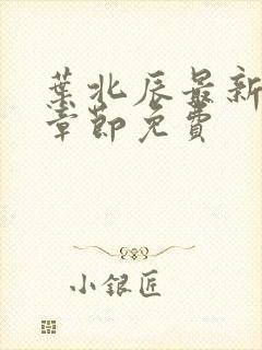 叶北辰最新更新章节免费