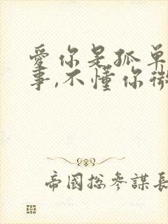 爱你是孤单的心事,不懂你微笑的意思