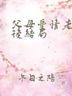 父母爱情老丁最后结局