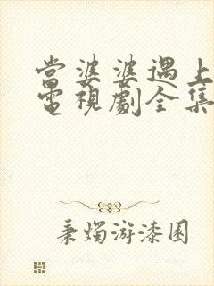 当婆婆遇上的妈电视剧全集观看 当婆婆遇上的妈电视剧全集观看