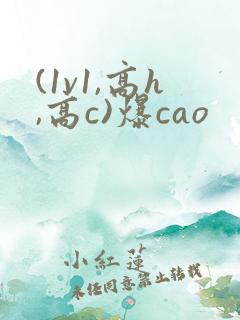 (1v1,高h,高c)爆cao