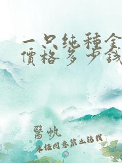 一只纯种金毛犬价格多少钱