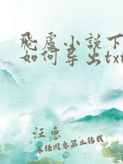 飞卢小说下载后如何导出txt
