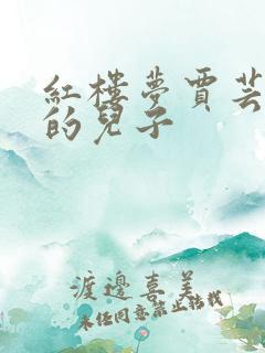 红楼梦贾芸是谁的儿子