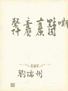声音有点嘶哑是什么原因