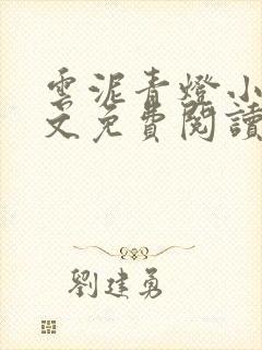 云泥青灯小说全文免费阅读无弹窗
