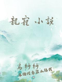 龙宠 小说
