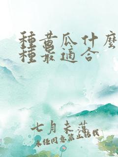 种黄瓜什么时候种最适合 种黄瓜什么时候种最适合