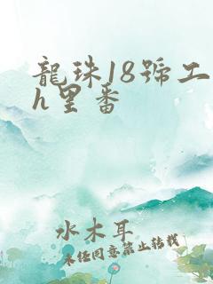 龙珠18号工口h里番 龙珠18号工口h里番