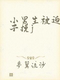 小男生被迫脱裤子摸j