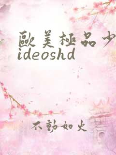 欧美极品少妇videoshd