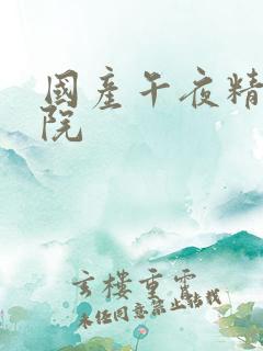 国产午夜精品影院