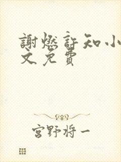 谢燃许知小说全文免费