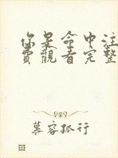 你是命中注定免费观看完整版