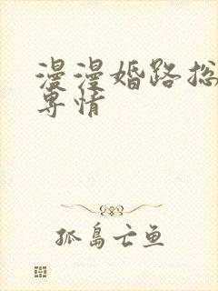 漫漫婚路总裁很专情