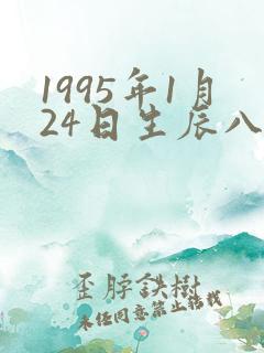 1995年1月24日生辰八字