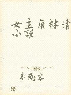 女主角林清婉的小说