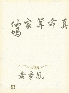 仙家算命真的准吗