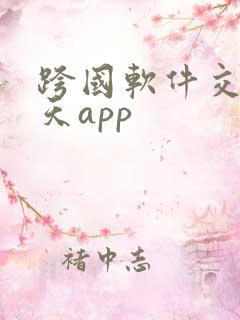 跨国软件交友聊天app